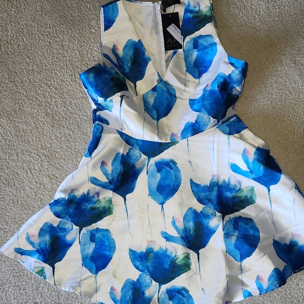 NWT Fit and Flare style blue and white floral dress by AX Paris